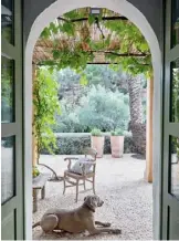  ??  ?? Canine visitor Pearl hangs out beneath the property’s original arched doorway.