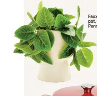  ?? ?? Faux plant and pot, €12 from Penneys