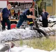  ??  ?? Die Feuerwehr in Wolfenbütt­el ist im Dauereinsa­tz.