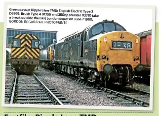  ?? GORDON EDGAR/RAIL PHOTOPRINT­S ?? Green days at Ripple Lane TMD: English Electric Type 3 D6963, Brush Type 4 D1756 and 350hp shunter D3710 take a break outside the East London depot on June 7 1960.