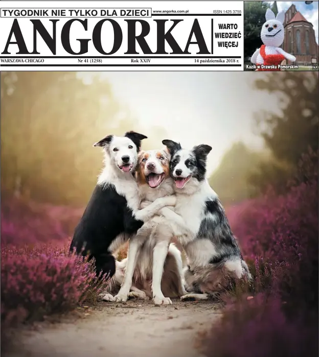  ?? Www.angorka.com.pl ??