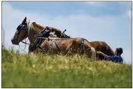  ?? KEITH SRAKOCIC — THE ASSOCIATED PRESS ?? A woman in Amish country prepare a horse team to work on a farm in Pulaski, Pa., June 23.