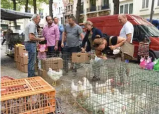  ?? FOTO'S JAN VAN DER PERRE ?? Al 49 jaar staat Victor met zijn kippen en eenden op de markt.