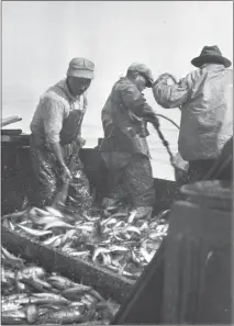  ?? ?? This image from “Terminal Island: Lost Communitie­s on America’s Edge” shows sardine fisherman.