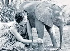  ??  ?? Daphne Sheldrick with Aisha, an orphaned elephant, in 1974: she learnt to understand the young creatures’ moods and temperamen­ts, and became a tireless campaigner against poaching