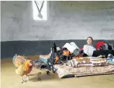  ?? Picture: Supplied ?? WILD LIFE Chickens visit hikers in their bedroom at Mnyameni Village.