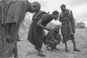  ??  ?? Saitoti Petro (second left) tracks lions near the village of Loibor Siret, Tanzania. Petro is one of more than 50 lion monitors who walk daily patrol routes to help shepherds shield their cattle in pasture. — IC