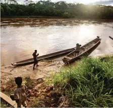  ??  ?? Healthy: A group carries plantain from their boats