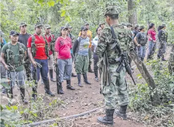  ??  ?? Organismos independie­ntes denuncian presencia de guerrilla colombiana en Venezuela. (archivo)