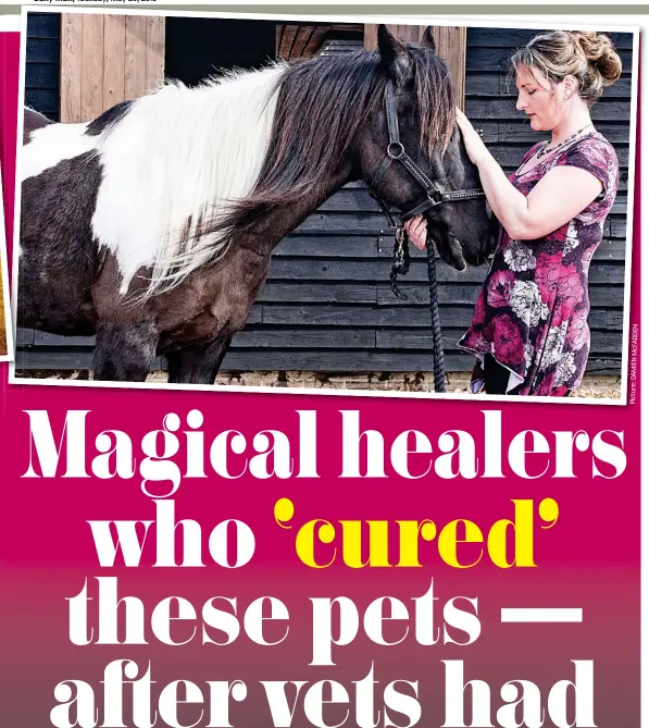  ??  ?? Devotee: Sarah Berrisford trained as a reiki master to help her horse Pancho recover from an injury