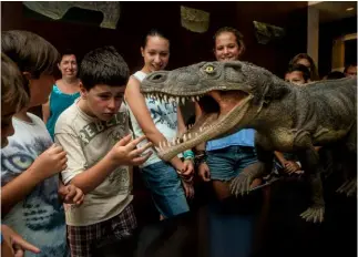  ??  ?? Alla Züst (sopra) e al Museo dei Fossili le attività sono in pieno svolgiment­o