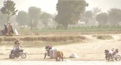  ?? ?? A carrot farm near a river bank in Daba