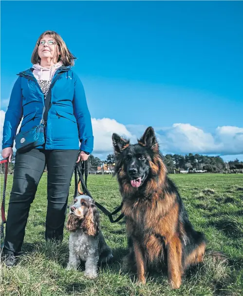  ?? Picture Andrew Cawley ?? Dog-walker Sandra Ferguson with Rhea, Amara, Rosie and Roxy in Troon