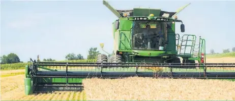  ??  ?? Les cultures et les agriculteu­rs profiteron­t de beau temps en août.