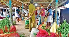  ??  ?? Local levy official appointed by DS monitor farmers weighing their cultivatio­n before fixing the price at Kodikaamam market