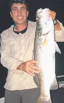  ??  ?? Philip Macintosh fished hard to nail his first barra of the 2020 season in Cleveland Bay.