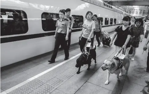  ??  ?? 高铁采用人性化管理，允许导盲犬上动车。盲人调琴师陈燕和她的­同行可以乘高铁外出旅­游了（王福春/ 摄）