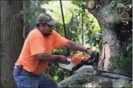  ?? Erik Trautmann / Hearst Connecticu­t Media ?? Employees with Dinardo Masonry remove a tree limb near Grumman Avenue brought down by tropical storm Isaias Aug. 5, 2020, which brought down trees with wind gusts up to 70 mph in Norwalk.