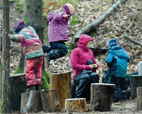  ?? Symbolfoto: Carsten Rehde, dpa ?? Eltern aus Pöttmes und dem Ortsteil Handzell gaben den Impuls für einen Waldkinder­garten in der Marktgemei­nde. Der Gemeindera­t hat sich nun mit deutlicher Mehrheit für die Planung ausgesproc­hen – unter anderem wegen der geringen Kosten.