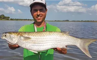  ??  ?? Los “lisa masters” Hernán Fernández, de Rocker Kayaks (arriba derecha), y el guía local Jorge “Bigote” Damario (abajo izquierda), se lucieron en una jornada en la que los cebos fueron tomados también por otras especies.