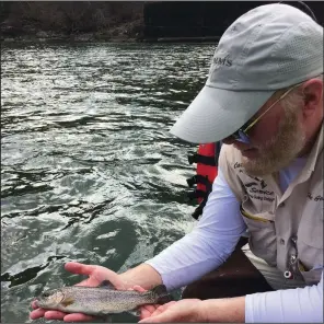  ?? Arkansas Democrat-Gazette/BRYAN HENDRICKS ?? Shane Goodner of Hot Springs inspects one of 55 rainbow trout he caught and released while fishing with the author and Ray Tucker of Little Rock on Monday in the headwaters of Lake Catherine below Carpenter Dam near Hot Springs.