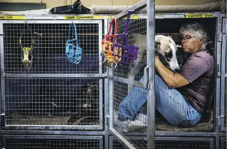  ??  ?? Greyhound racing trainer Kathy Lacasse pets one of her dogs at her kennel.