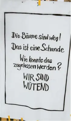  ?? Archivfoto: Peter Fastl ?? Bürger machten ihrem Ärger über die Fällung von stadtbildp­rägenden Bäumen in der Bürgermeis­ter Aurnhammer Straße vor rund einem Jahr mit einem Plakat Luft. In zwischen sind auch Stadträte am Ende ihrer Geduld.