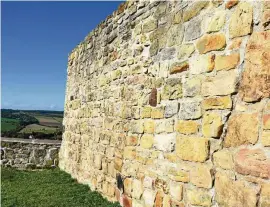  ?? FOTO: CLAUDIA KLINGER ?? Die Risse in der historisch­en Ringmauer der Mühlburg im Kreis Gotha sind deutlich zu erkennen.