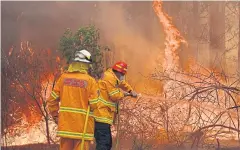  ??  ?? FULL-FLEDGED FIGHT: Firefighte­rs tackle a bushfire yesterday as they try to save a home in Taree, Australia, 350km north of Sydney.