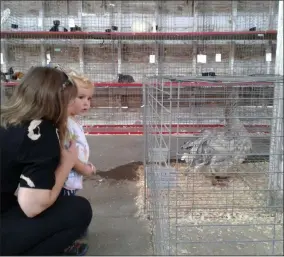  ?? MELISSA SCHUMAN - MEDIA NEWS GROUP ?? Reno Paquin, 2, looks at one of the geese on display with his mother Melinda.