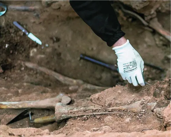  ??  ?? Trabajos de exhumación en la fosa del cementerio civil del cementerio de Guadalajar­a, el pasado mes de octubre