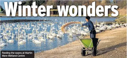  ??  ?? Feeding the swans at Martin Mere Wetland Centre