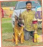  ?? PHOTOS: DEEPAK GUPTA/HT ?? Best breed of the show Ojas with owner Himanshu Soni. (Right) Indie Fashion Show winner Handsome with owner and (below) runners-up Hazel with Priya Shastri