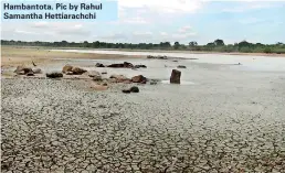  ??  ?? Hambantota. Pic by Rahul Samantha Hettiarach­chi