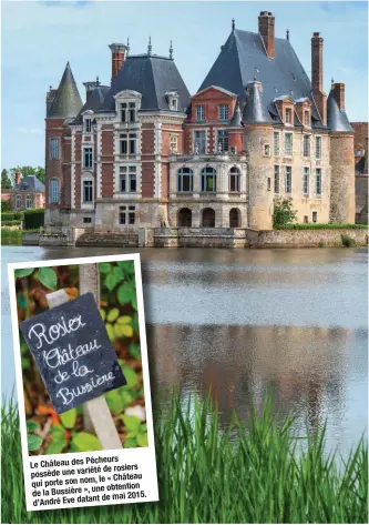  ??  ?? Le Château des Pêcheurs de rosiers possède une variété le « Château qui porte son nom, une obtention de la Bussière », de mai 2015. d’André Eve datant