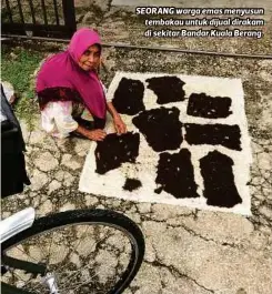  ??  ?? SEORANG warga emas menyusun tembakau untuk dijual dirakam di sekitar Bandar Kuala Berang.