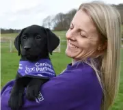  ?? Picture: Canine Partners ?? TRAINING: Canine Partners is appealing for puppy parents in Wokingham