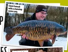  ??  ?? Chris Fennell with a stunning snow carp.