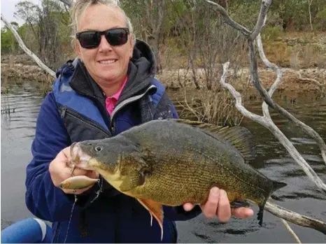  ?? PHOTO: CONTRIBUTE­D ?? HANDY MANDY CATCH: Mandy Atkins with a nice Pindari yellowbell­y.