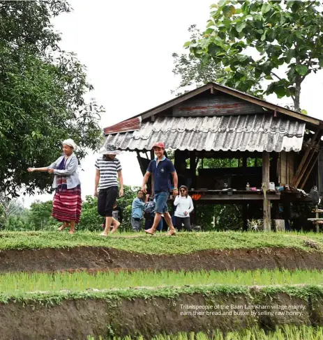  ??  ?? Tribespeop­le of the Baan Lan Kham village mainly earn their bread and butter by selling raw honey.