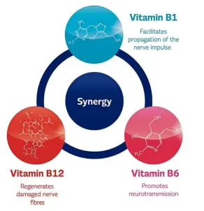  ??  ?? Three B vitamins play an important role in the metabolism of nerves.