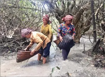  ?? HUSAIN HAIDER ?? Women wade through shin-high water on the hunt for snake fish.