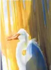  ?? PATRICK CONNOLLY/ORLANDO SENTINEL ?? An egret comes to life on canvas as painted by Michelle Held during the Wekiva Paint Out.