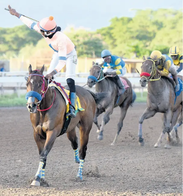  ?? FILE ?? Shamaree Muir salutes the crowd at Caymanas Park as he won the 10th race aboard DEE DANGER on Saturday, February 1, 2020.