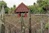  ??  ?? Hamilton Gardens’ Te Parapara Ma¯ ori garden has celebrated 10 years.