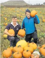  ??  ?? OUR PATCH Alex and David with their crop