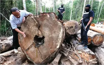  ??  ?? Dr Mohd Hizamri (left) inspects the seized logs at the location of the raid. — Bernama photo