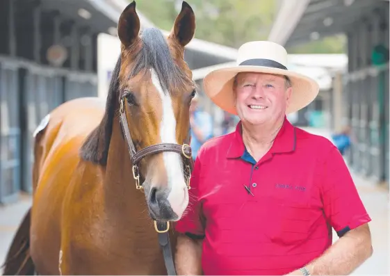  ?? Picture: DAVE GOUDIE ?? Scott McAlpine with horse Spirit of Boom, which continues to dominate Queensland breeding.