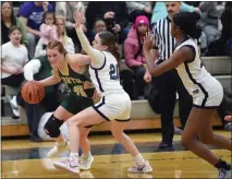  ?? DAVID DALTON — FOR MEDIANEWS GROUP ?? Annabel Ayrault of Grosse Pointe North drives during a regional semifinal against Dakota on Tuesday.