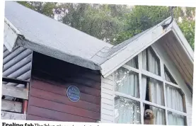  ??  ?? Feeling fab The ‘blue plaque’ on chalet four tells of a at the Four Seasons Hotel in St Fillans visit from the Fab Four, below